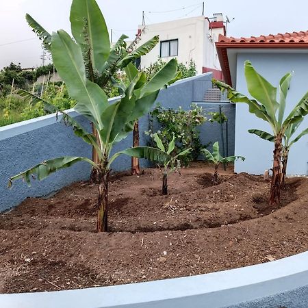 Calheta Paradise Holiday Home Arco da Calheta  Eksteriør billede