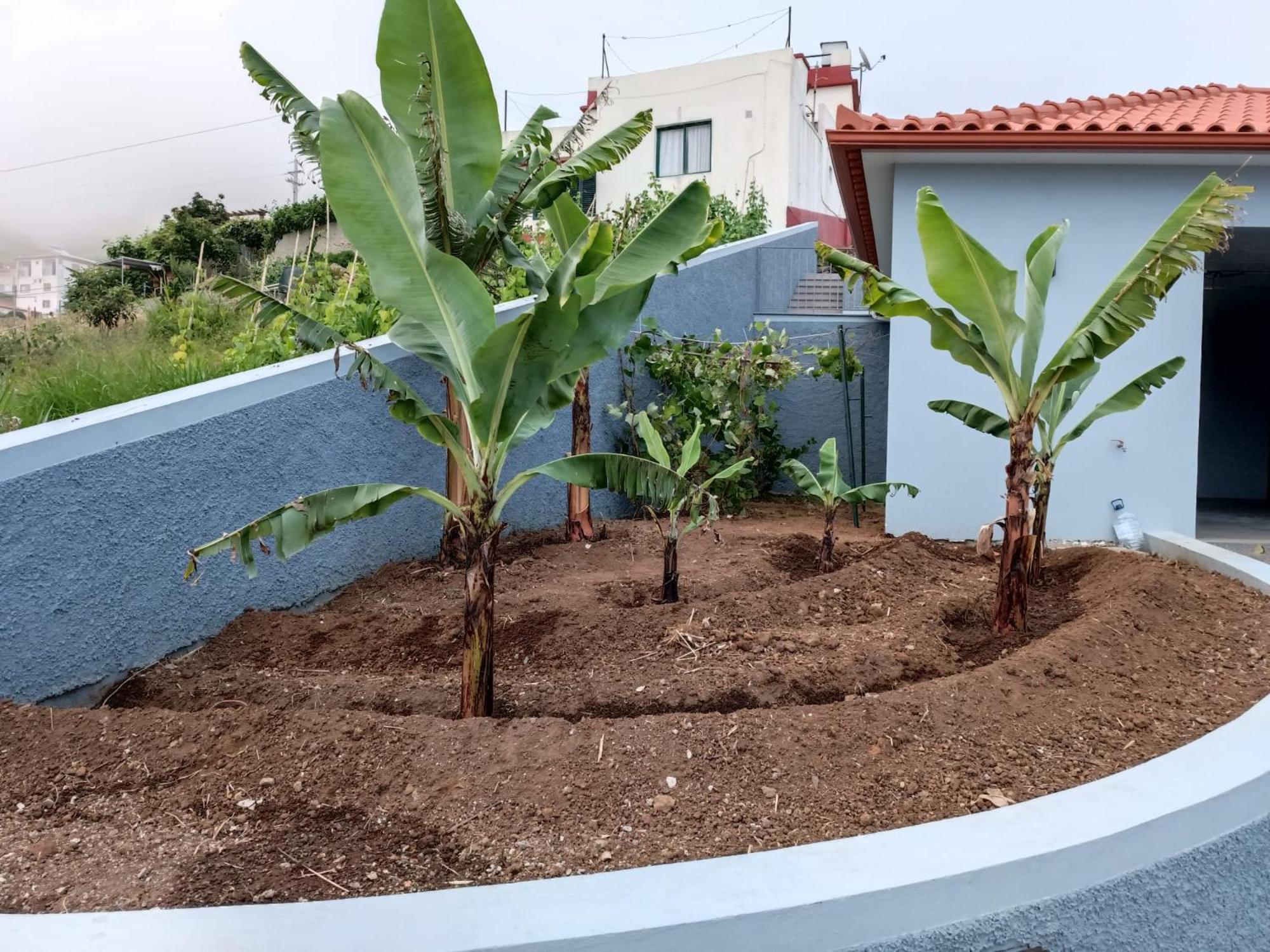 Calheta Paradise Holiday Home Arco da Calheta  Eksteriør billede